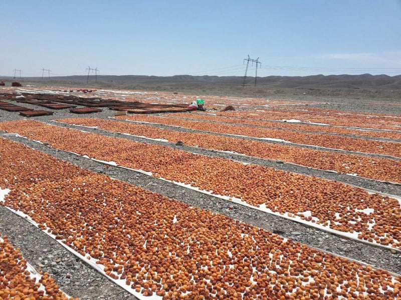 From Farm to Global Market