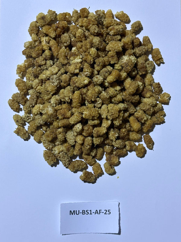 Afghanistan - Mulberry Dried