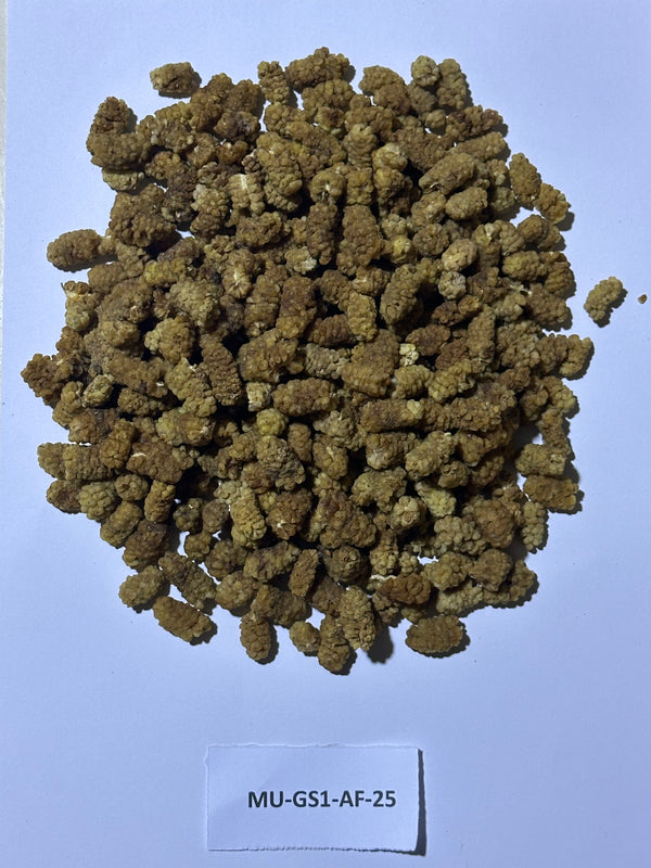 Afghanistan - Mulberry Dried